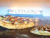 Pieology Pizzeria